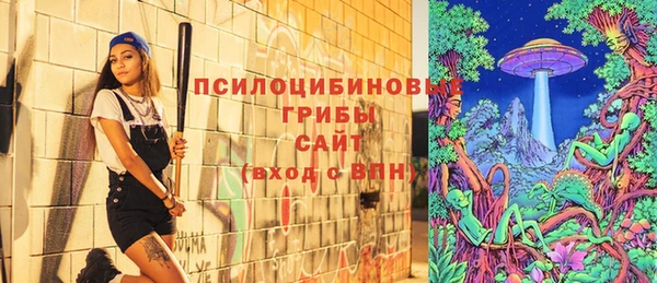 прущая мука Богородицк