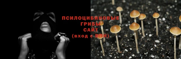 эйфоретик Белоозёрский