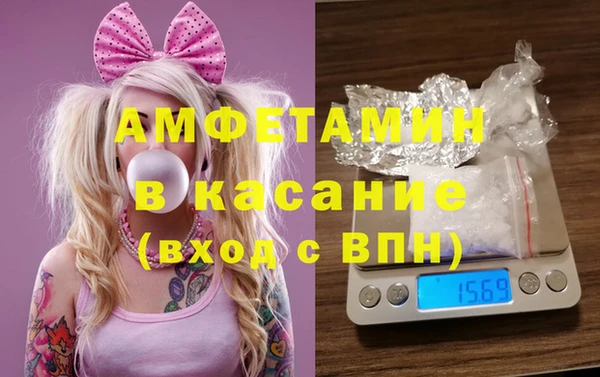 индика Вязьма